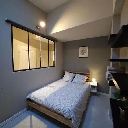 Loft Moderne Avec Garage Dans L'hyper Centre *